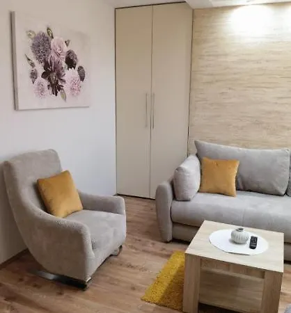 Apartament Narcis Sokobanja